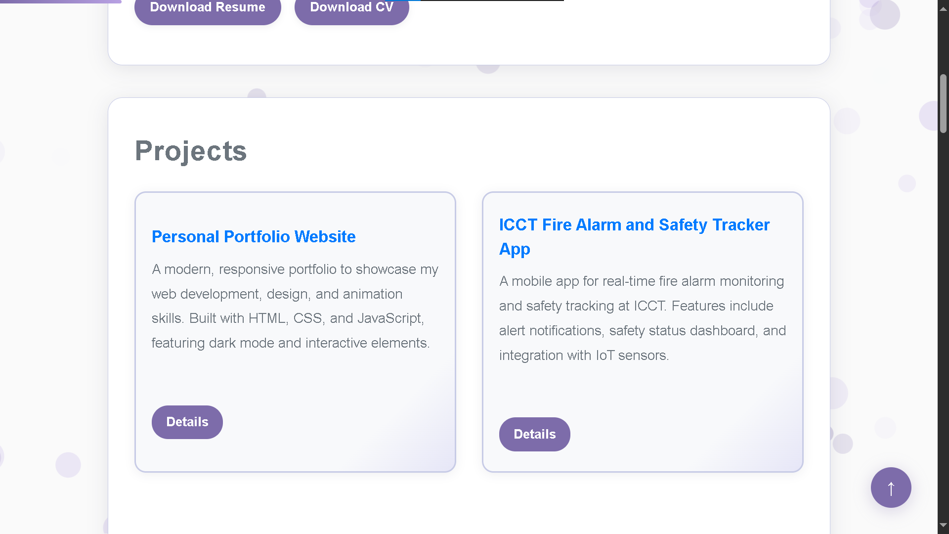 Portfolio Screenshot 2