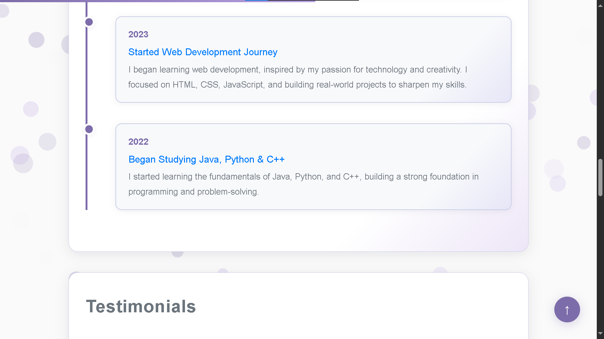 Portfolio Screenshot 5