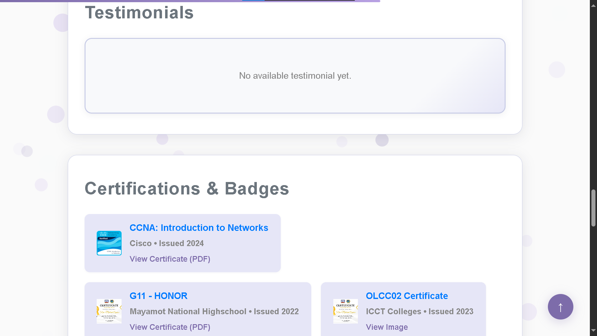 Portfolio Screenshot 6